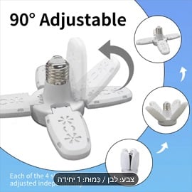 נורה כנפיים (3)